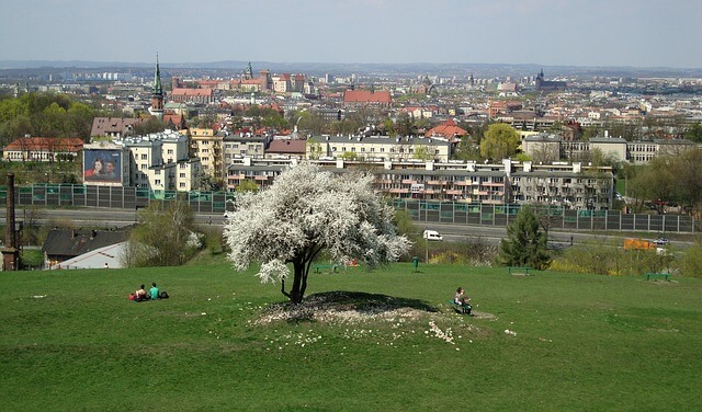 Park w Krakowie